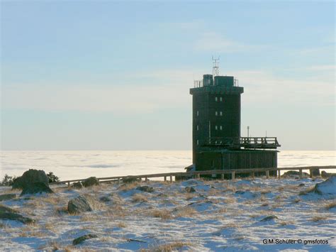 At home in the Harz Mountains