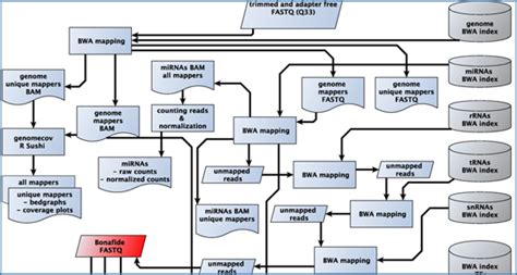 sRNAPipe – a Galaxy-based pipeline for bioinformatic in-depth exploration of small RNAseq data ...