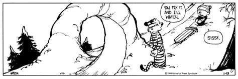 Calvin and Hobbes by Bill Watterson for January 13, 1989 | GoComics.com ...