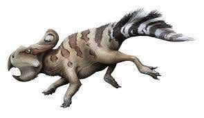 Protoceratops | Prehistoric Life Wiki | Fandom