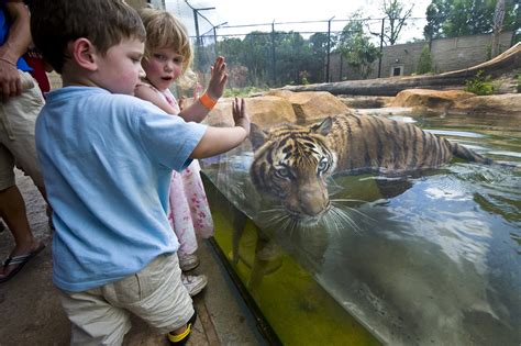 Brec'S Baton Rouge Zoo - SMALL TANKS