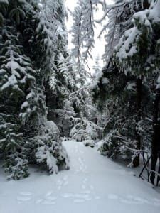 History of the Summit Hiking Trail ⋆ Friends of Mount Sunapee