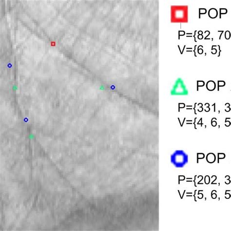 Some examples of POPs. | Download Scientific Diagram