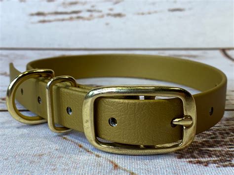 Biothane dog collar, gold dog collar, dog collar, buckle dog collar ...