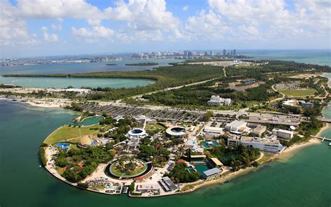 Miami Seaquarium, Welcome To The Family! - The Dolphin Company