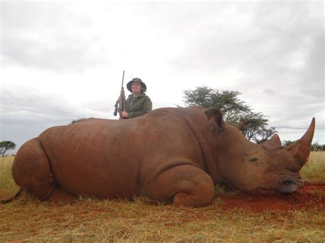 Exportable White Rhino Hunts With Limcroma Safaris | AfricaHunting.com