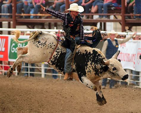 ‘Rodeo cowboys want to have fun’ | WyoFile