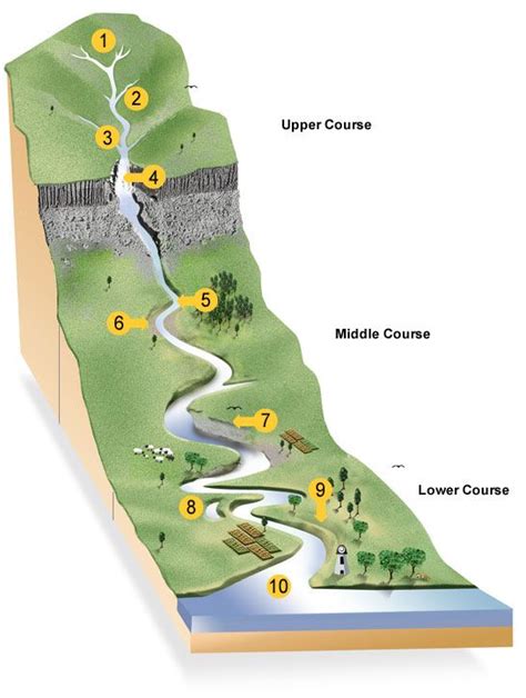 river formation diagram - Google Search | Geography project, Physical ...