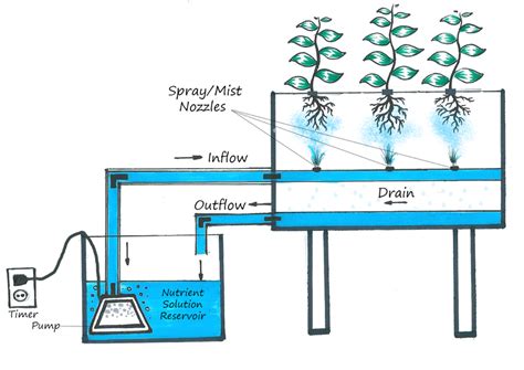 What Is Aeroponics Farming & Why You Should Care? | by @pramodchandrayan | krishi Wise | Medium