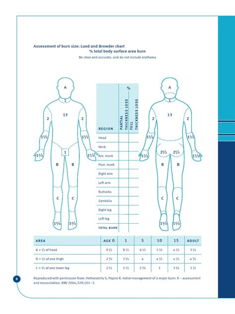 Lund and Browder Chart | PDF | Burn | Skin