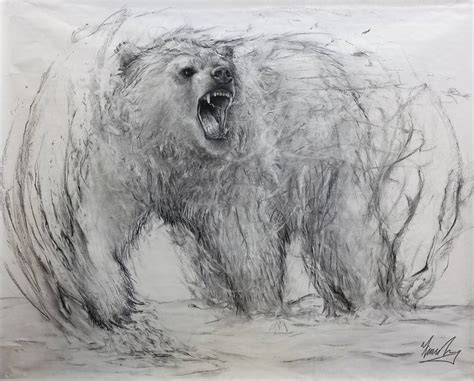 Spirit Bear (water) Drawing by Fiona Tang | Saatchi Art