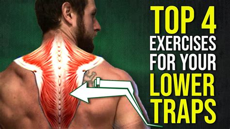 Top 4 Lower Trapezius Exercises for Better Shoulder Posture & Function ...