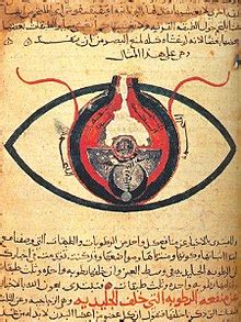 Ophthalmology in the medieval Islamic world - Wikipedia