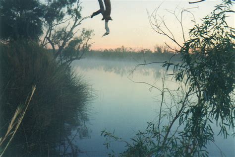 Dawn over Fortescue River - A Picture from Millstream-Chichester ...