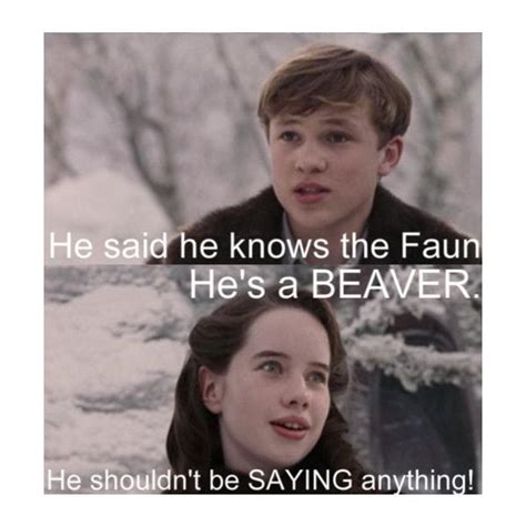 Chronicles Of Narnia Best Quotes. QuotesGram