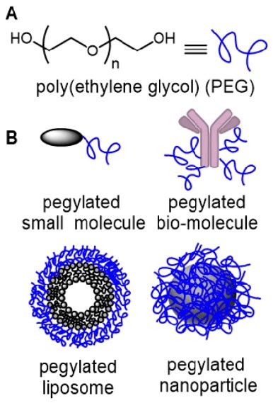 (A) Structure of poly(ethylene glycol) (PEG). (B) Common drug delivery... | Download Scientific ...