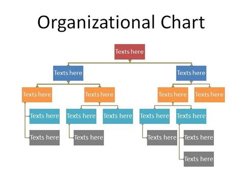 Organizational Chart Template 19