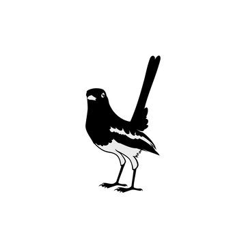 Premium Vector | Black and white magpie bird logo design