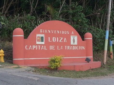 a red sign that is next to a yellow fire hydrant and some trees in the ...