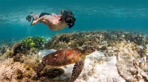 Ningaloo Reef Snorkel Adventure - Australia Liveaboard