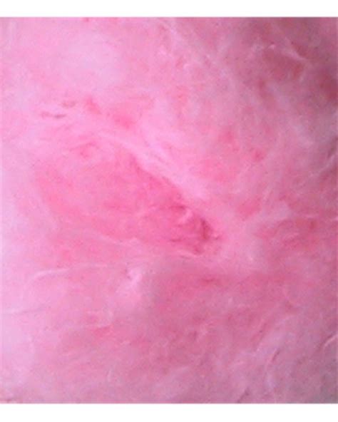 Pink Cotton Candy 1 Free Photo Download | FreeImages