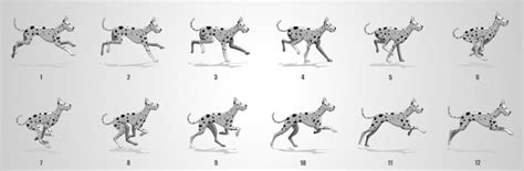 Premium Vector | Dog Run cycle animation sequence