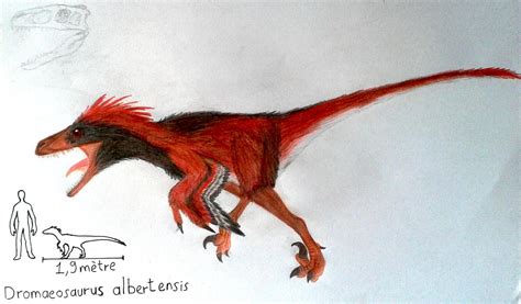 Dromaeosaurus albertensis by ZeWqt on DeviantArt