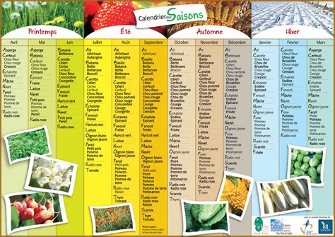 calendrier des fruit et legumes de saison 2024 - 2024 February Calendar