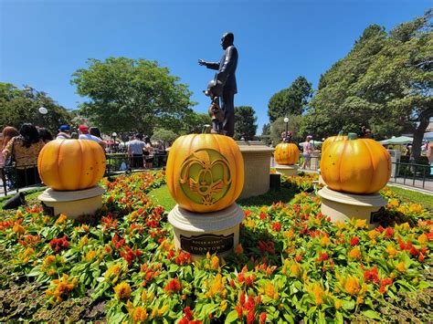 Giant Mickey Pumpkin & Carved Character Face Pumpkins Arrive at ...