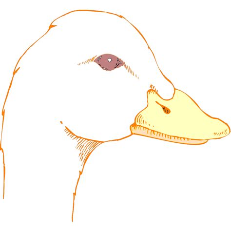 Duck Head Drawing PNG, SVG Clip art for Web - Download Clip Art, PNG ...