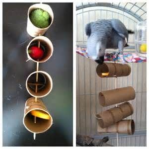 diy foraging toys for parrots | Homemade bird toys, Parrot toys, Parakeet toys