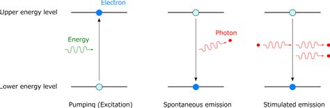 Spontaneous and stimulated emission - FiberLabs Inc.