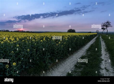 Way to heaven Stock Photo - Alamy