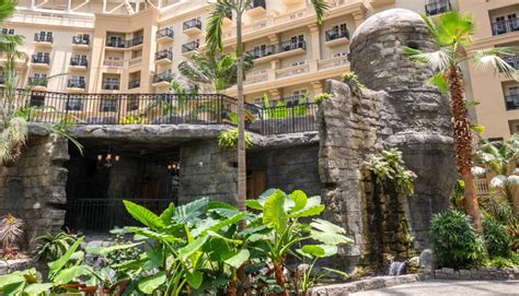 6 Things To Do At Gaylord Palms Orlando Resort