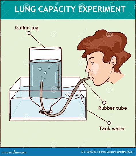 Illustration De Vecteur De Lung Capacity Experiment Illustration de Vecteur - Illustration du ...