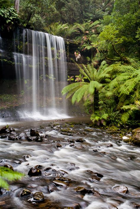 LOCATION – MT FIELD NATIONAL PARK, AUSTRALIA - Photo Basecamp