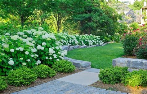 20 White Flowers for a Brighter Garden | Shade garden design, Shade garden, Traditional landscape