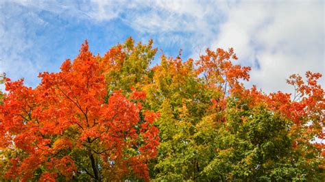 Tennessee Towns Named Among America's Best For Fall Foliage | iHeart