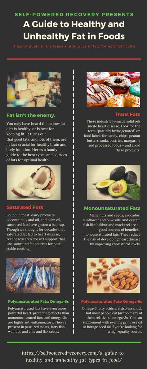 A Guide to Healthy And Unhealthy Fat Types in Food - Self-Powered Recovery