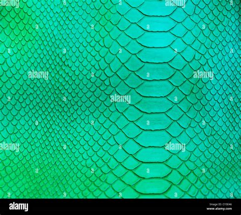 Crocodile skin pattern Stock Photo - Alamy