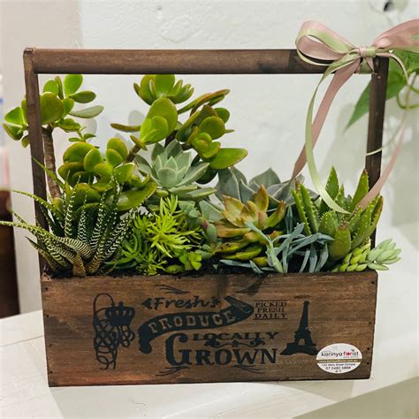 Succulent Garden - OUT OF STOCK - Karinya Florist