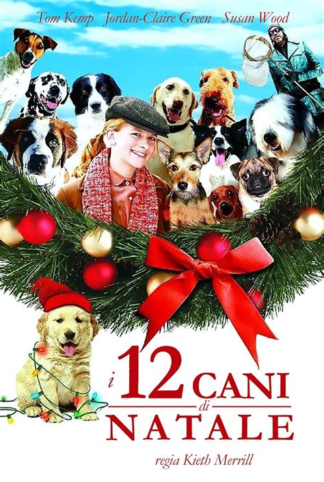 15 Best Christmas Movies With Dogs (& Why You Should Watch Them)