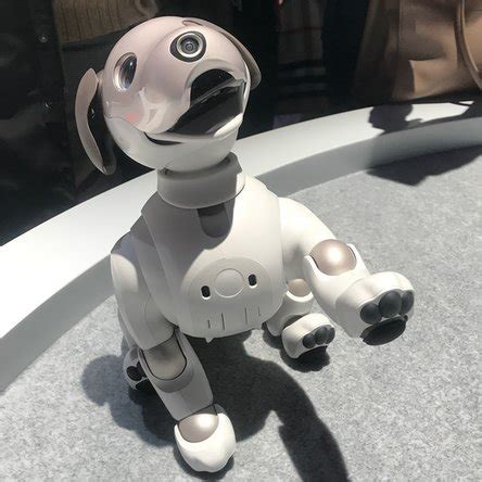 Sony’s Aibo Robot Dog Is Back, But Don’t Get Too Attached - iFixit