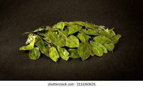 Dry Coca Leaf Medicinal Bolivian Culture Stock Photo 2116363679 | Shutterstock