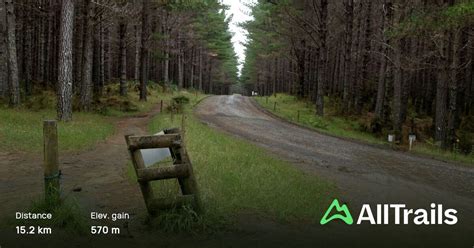 Woodhill Mountain Bike Park Loop, Auckland, New Zealand - 103 Reviews ...