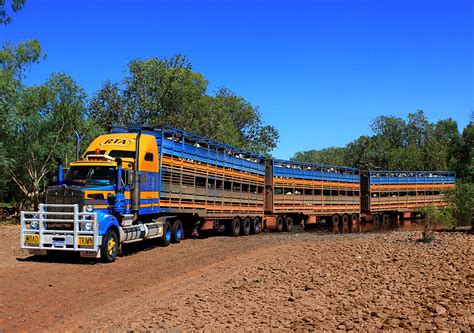 Australian Road Train Truck Driver