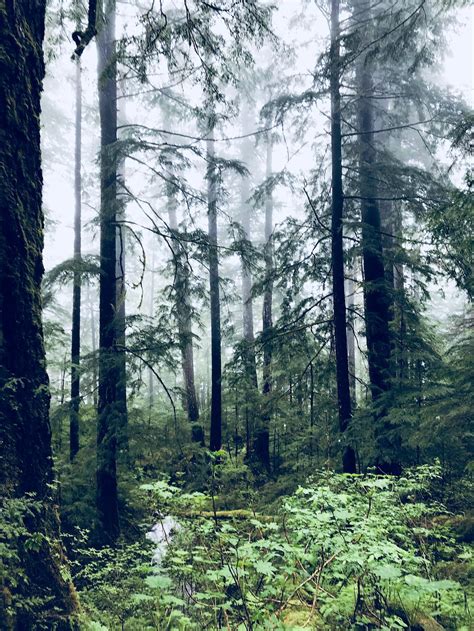 Ketchikan Alaska : hiking