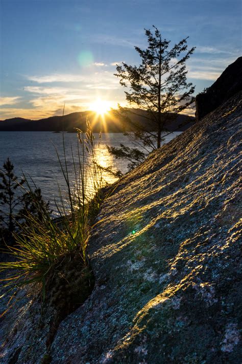 Five Best Hikes in North Vancouver - Danielle Connor