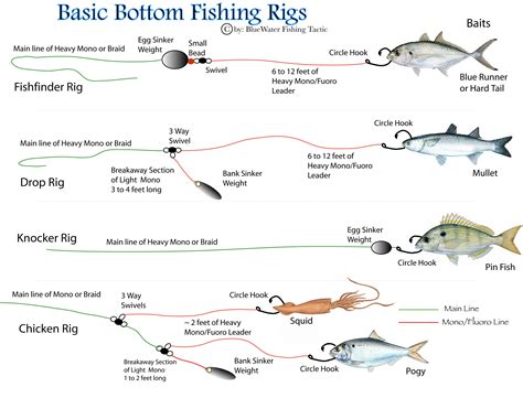 Basic Bottom Fishing Rigs | BlueWater Fishing Tactics | Bottom fishing rigs, Bottom fishing ...