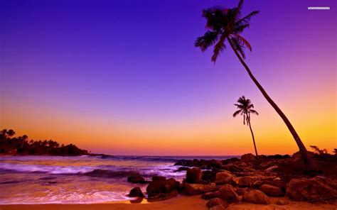 Tropical Beach Sunset Wallpapers - Wallpaper Cave